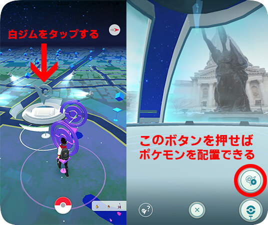 無所属のジムにポケモンを配置する