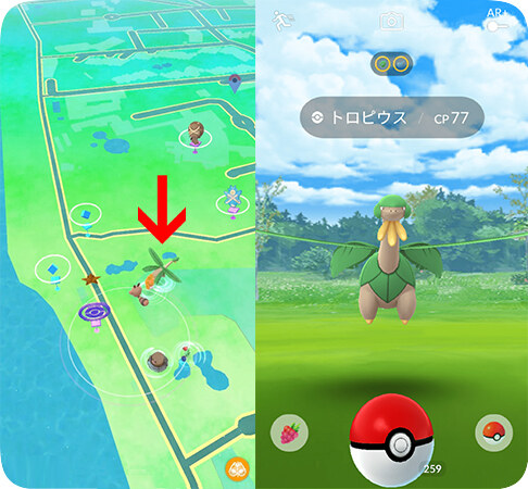 ポケモンGOでトロピウスを捕まえる