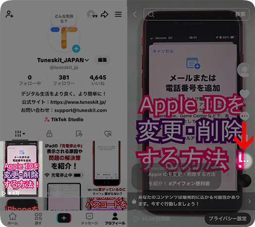 TikTok投稿の詳細画面