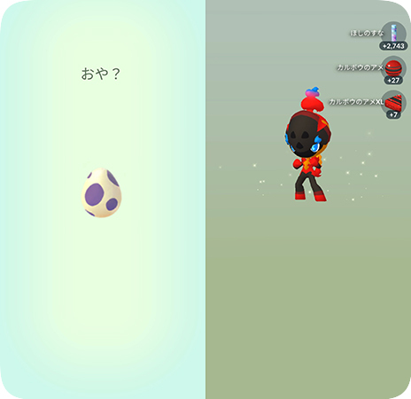 タマゴからカルボウを孵化させる