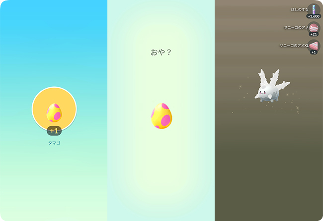 タマゴからサニーゴを孵化させる