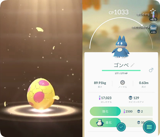 ポケモンGOでゴンベのタマゴを孵化させる