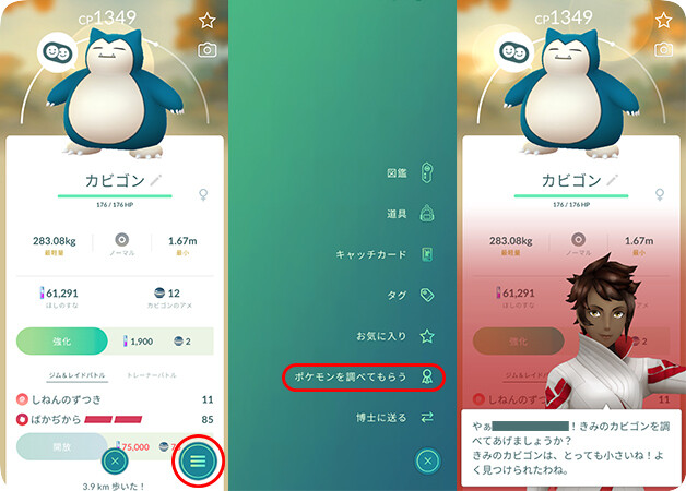 チームリーダーにあなたのポケモンの個体値（IV）を確認してもらう
