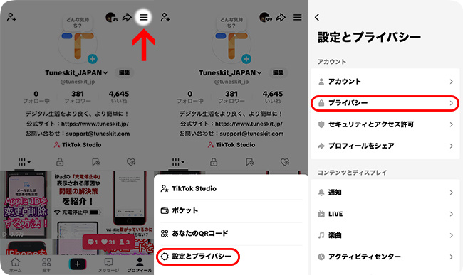 TikTokのプライバシー設定を開く
